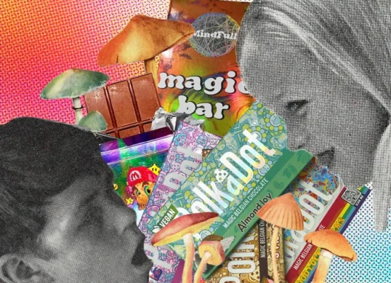 magic mushroom chocolate bars
